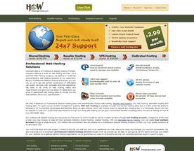 HostingOnWeb - Professional Website Hosting