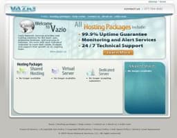 Vazio Network Services logo