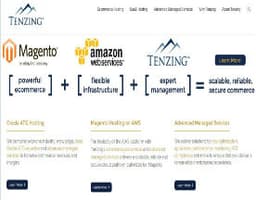 Tenzing logo