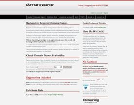 Domain Recover logo