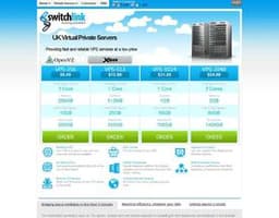 SwitchLink logo