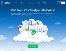 FlipDrive logo