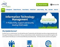 DataSafe Services logo