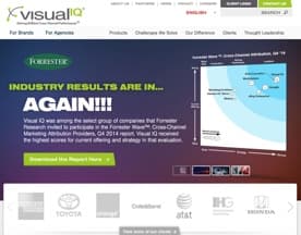 Visual IQ logo
