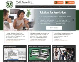 Vieth Consulting logo