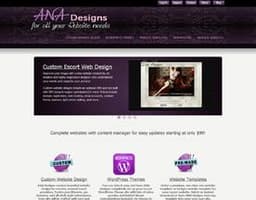 ANA Designs and Hosting LLC logo