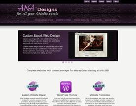 ANA Designs and Hosting LLC logo