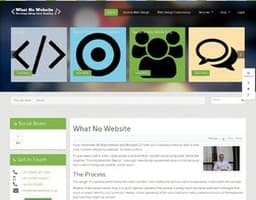 What No Website logo