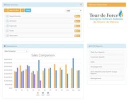 Tour De Force CRM logo
