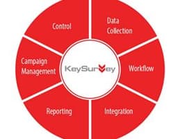 Key Survey logo