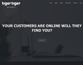 Tiger Tiger logo