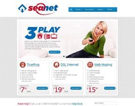 Seanet logo