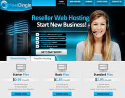 Host Dingle logo