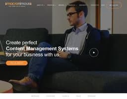 Macronimous Web Solutions logo