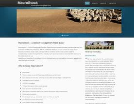 MacroStock logo