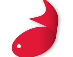 Firefish Software logo