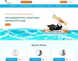 Life Saver Essays logo