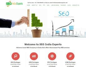 SEO India Experts logo