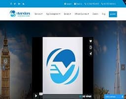 vServices logo