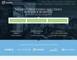 Blue Pay logo