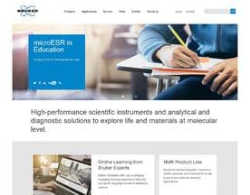 Bruker logo