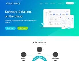 CloudWadi logo