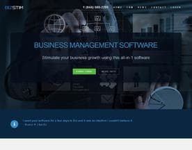 Bizstim logo