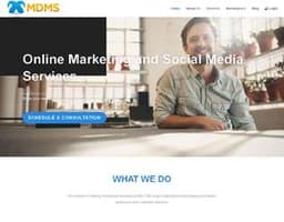 MDMS logo