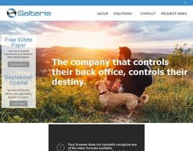 Salteris logo