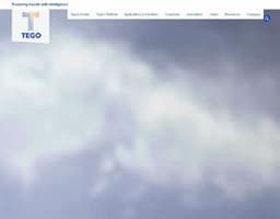 Tego Asset Management logo
