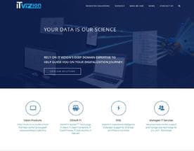 IT Vizion logo