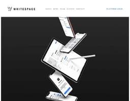 Whitespace Software logo