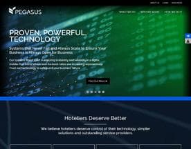 Pegasus Solutions logo