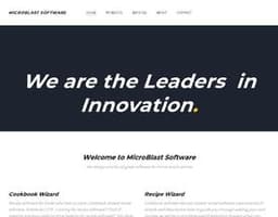MicroBlast Software logo