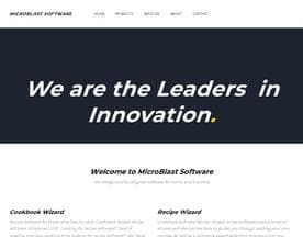 MicroBlast Software logo
