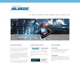 Bluize logo
