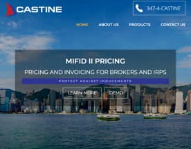 Castine Consulting logo
