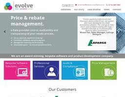 Evolve-IT Consulting logo