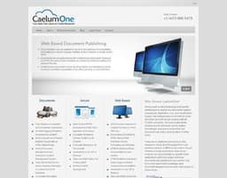 CaelumOne logo