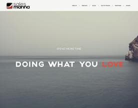 Salesmanna logo