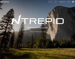 Ntrepid LLC logo