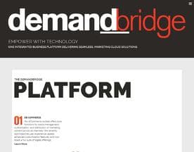 DemandBridge logo