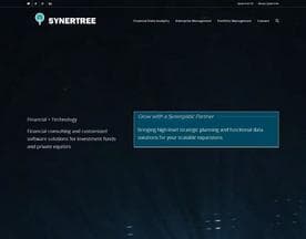 Synertree CMS logo