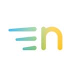 Netframe logo