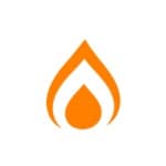 Nichefire logo
