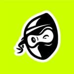 MailNinja logo