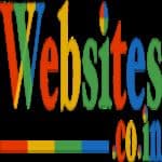 Websites.co.in logo