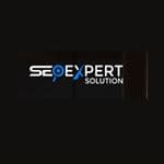 seoexpertsolutions logo