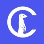 Curious Thing logo