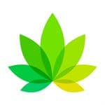 IndicaOnline logo